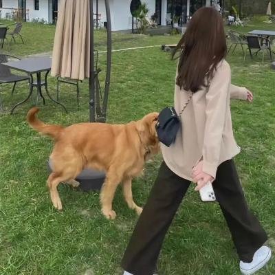 黑楼孤魂
